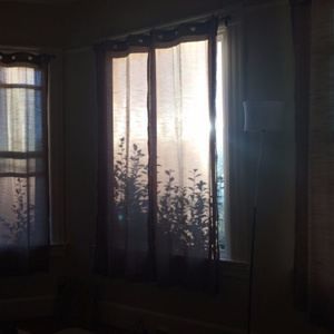 国产av不卡网站
