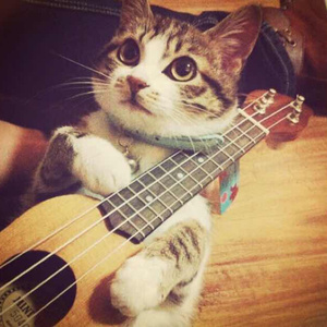 国产av不卡网站
